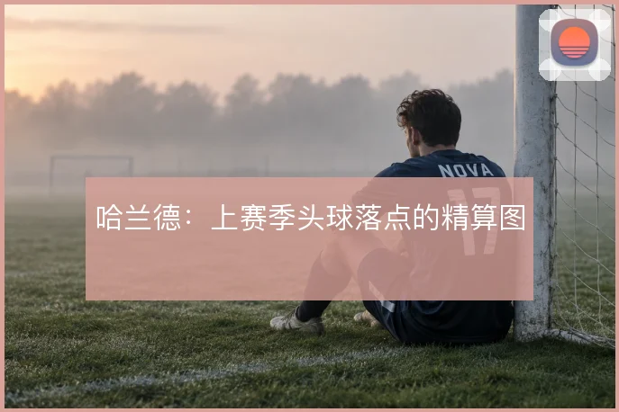 哈兰德:上赛季头球落点的精算图
